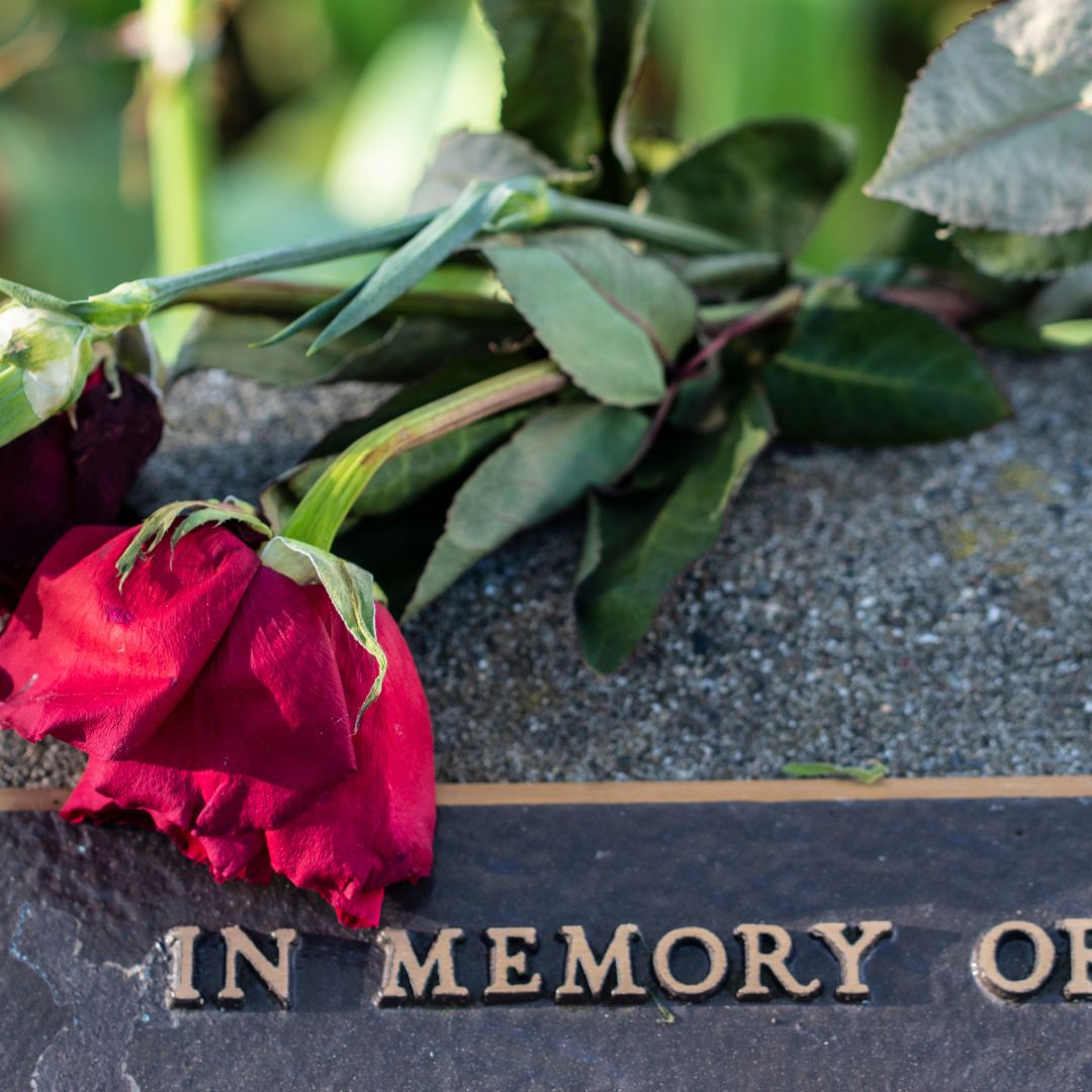 Memorial plaque with roses draped over it. 